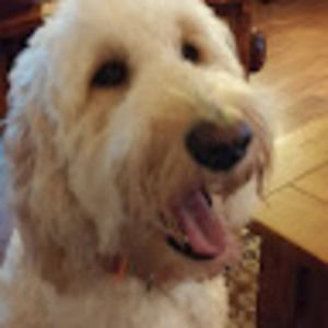 Meet your Posher, Leann